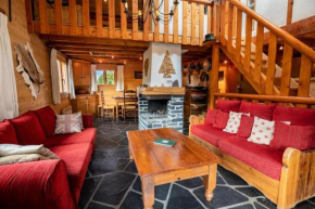 Chalet Petit Gibus - Chalet au calme MAE-4884